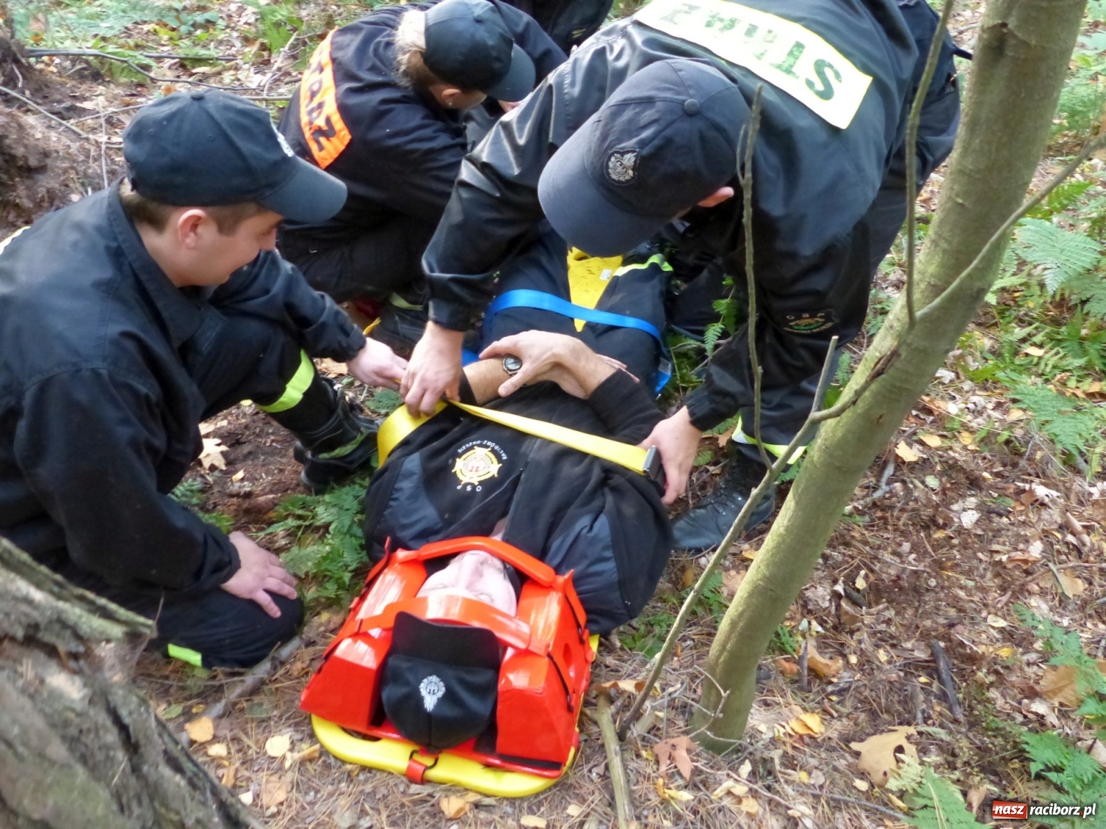 Zdjęcie w galerii na portalu naszraciborz.pl: Ponad dwudziestu strażaków poszukiwało dziś dwóch rannych grzybiarzy  wiadomości z regionu