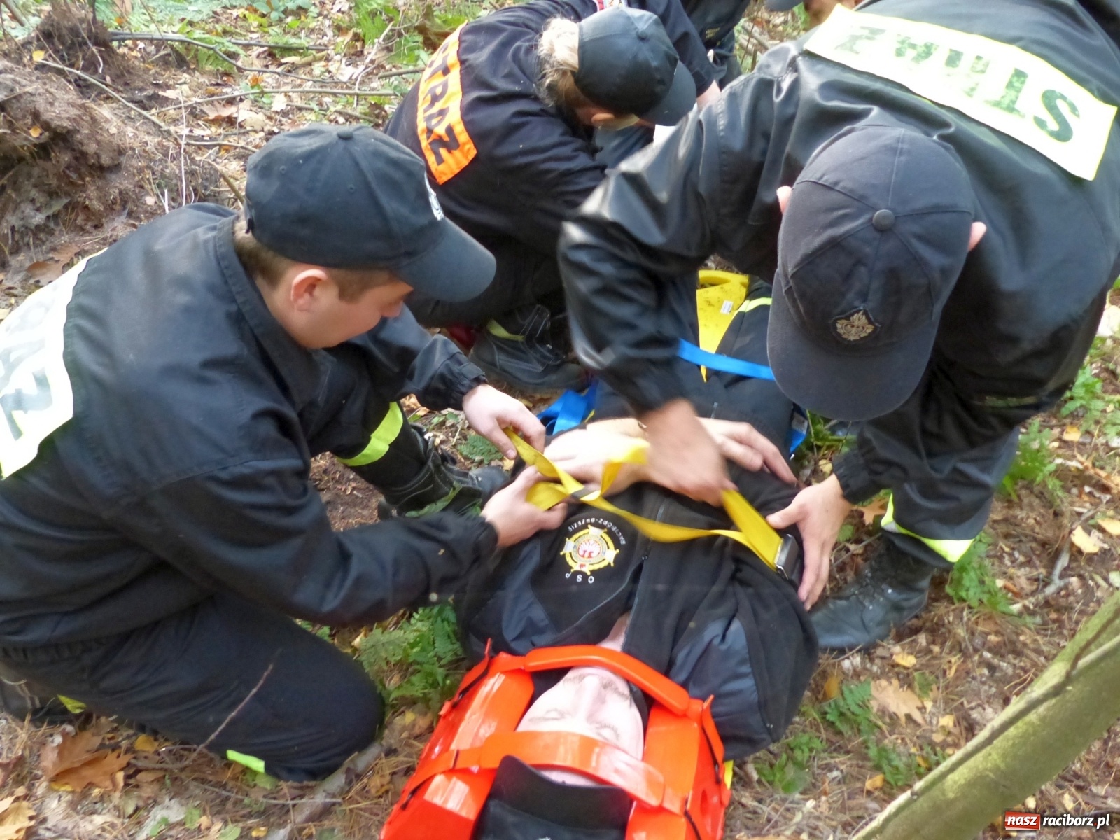 Zdjęcie w galerii na portalu naszraciborz.pl: Ponad dwudziestu strażaków poszukiwało dziś dwóch rannych grzybiarzy  wiadomości z regionu