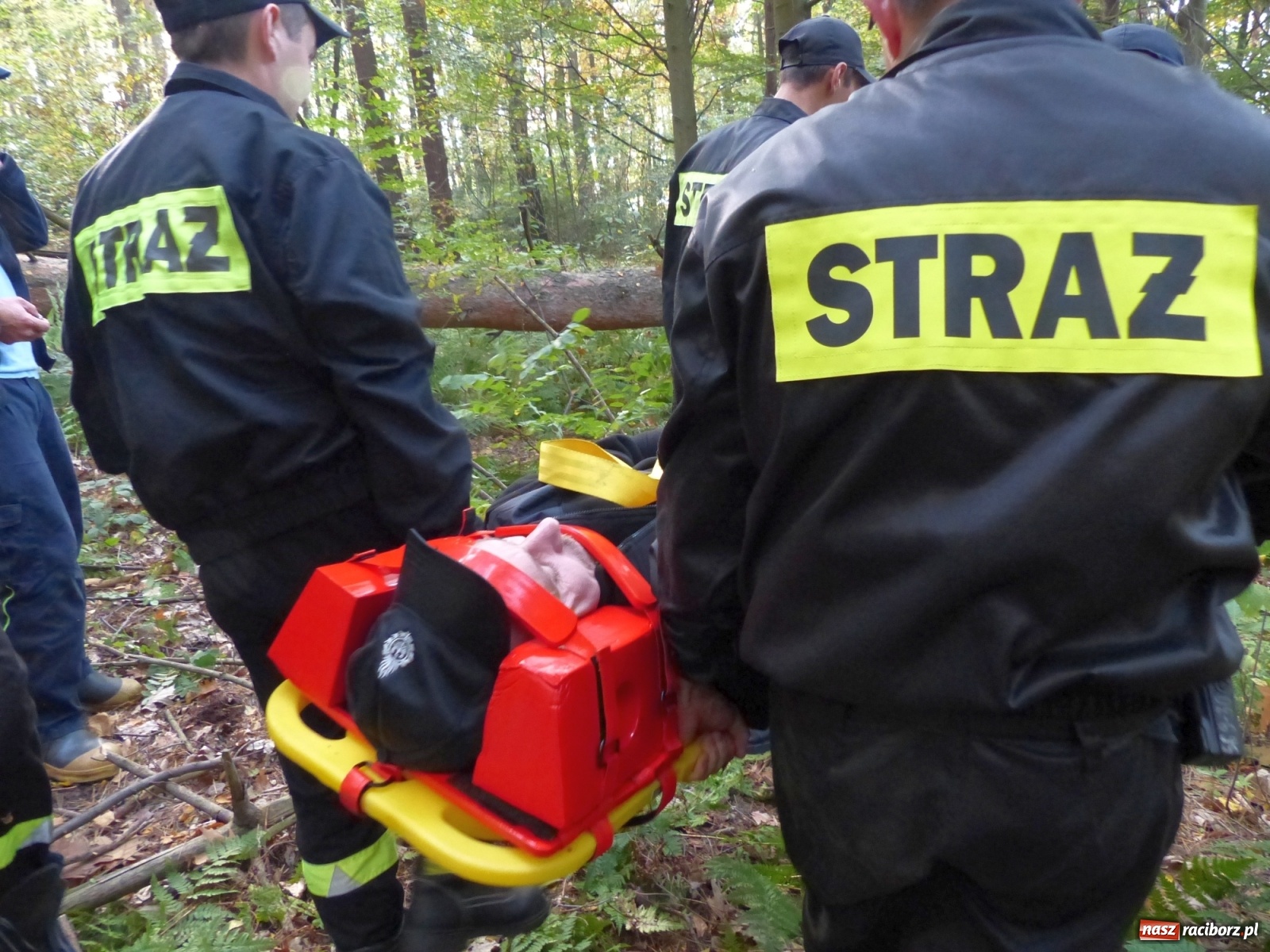 Zdjęcie w galerii na portalu naszraciborz.pl: Ponad dwudziestu strażaków poszukiwało dziś dwóch rannych grzybiarzy  wiadomości z regionu