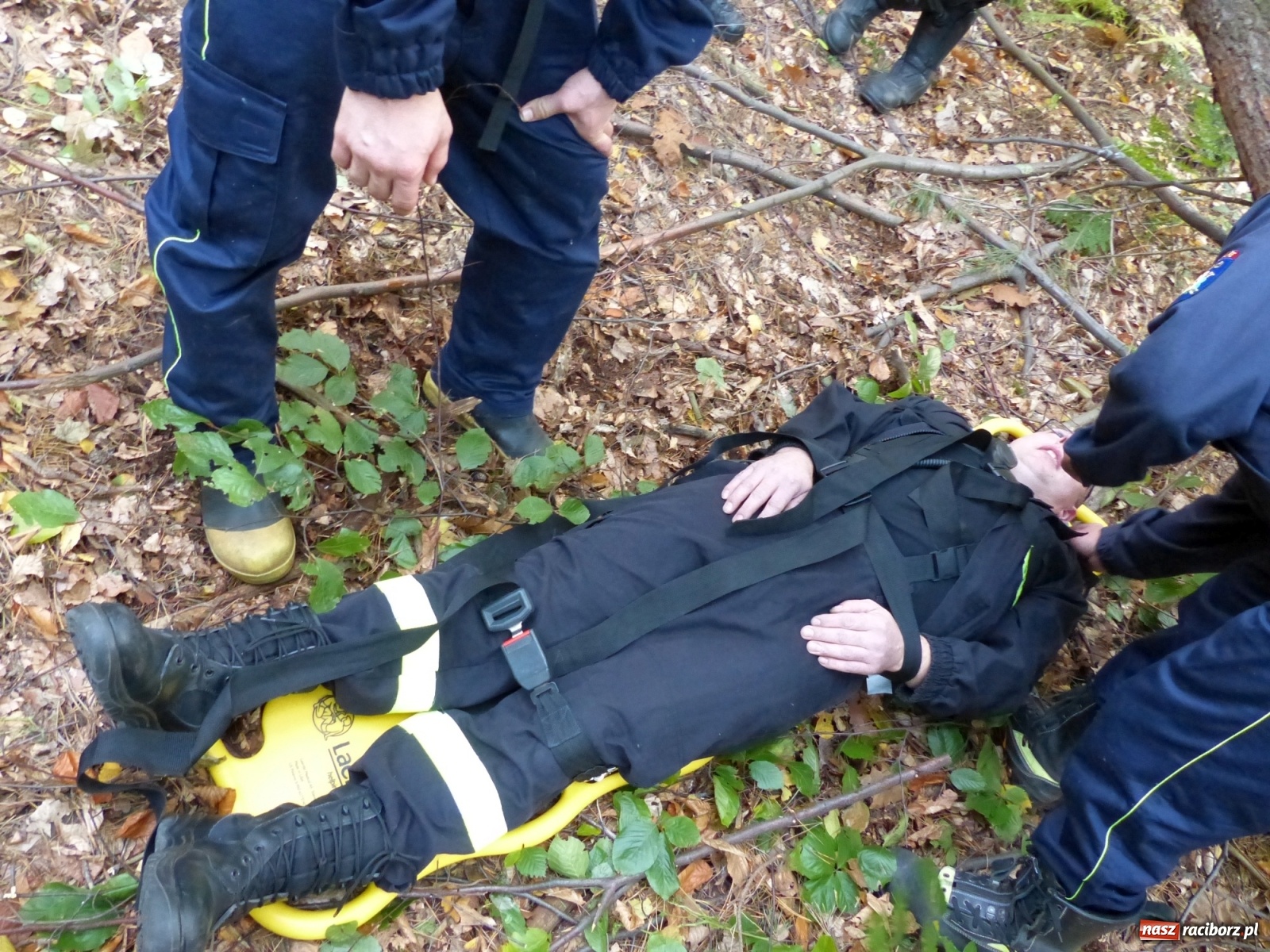 Zdjęcie w galerii na portalu naszraciborz.pl: Ponad dwudziestu strażaków poszukiwało dziś dwóch rannych grzybiarzy  wiadomości z regionu