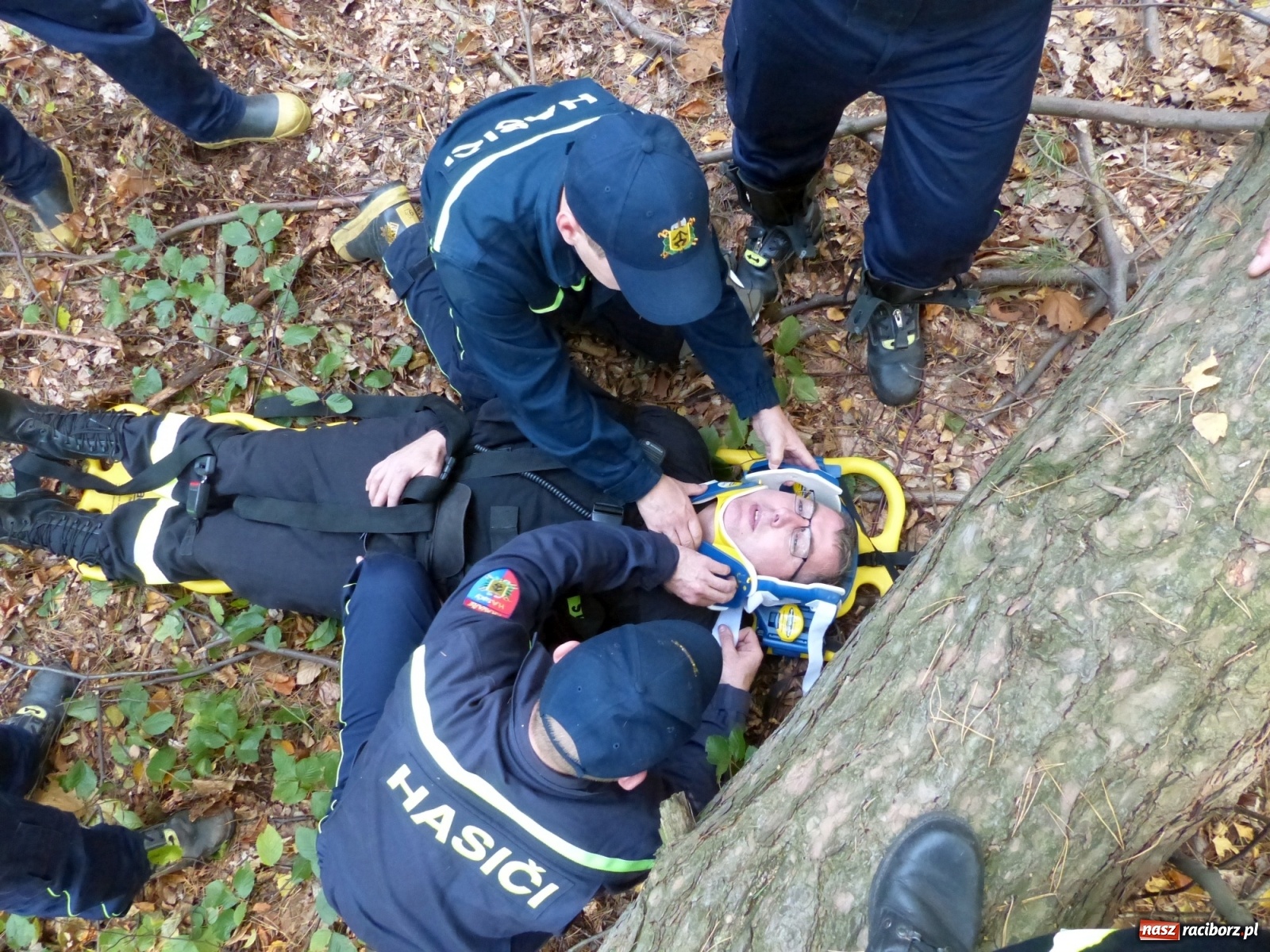 Zdjęcie w galerii na portalu naszraciborz.pl: Ponad dwudziestu strażaków poszukiwało dziś dwóch rannych grzybiarzy  wiadomości z regionu