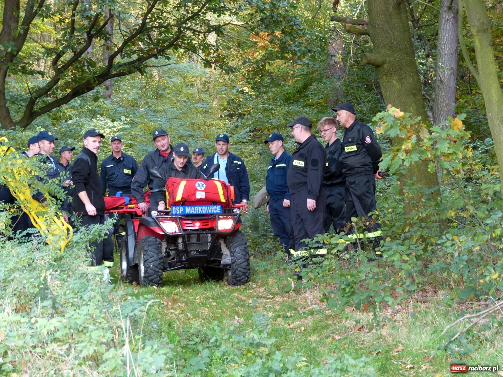 Zdjęcie w galerii na portalu naszraciborz.pl: Ponad dwudziestu strażaków poszukiwało dziś dwóch rannych grzybiarzy  wiadomości z regionu