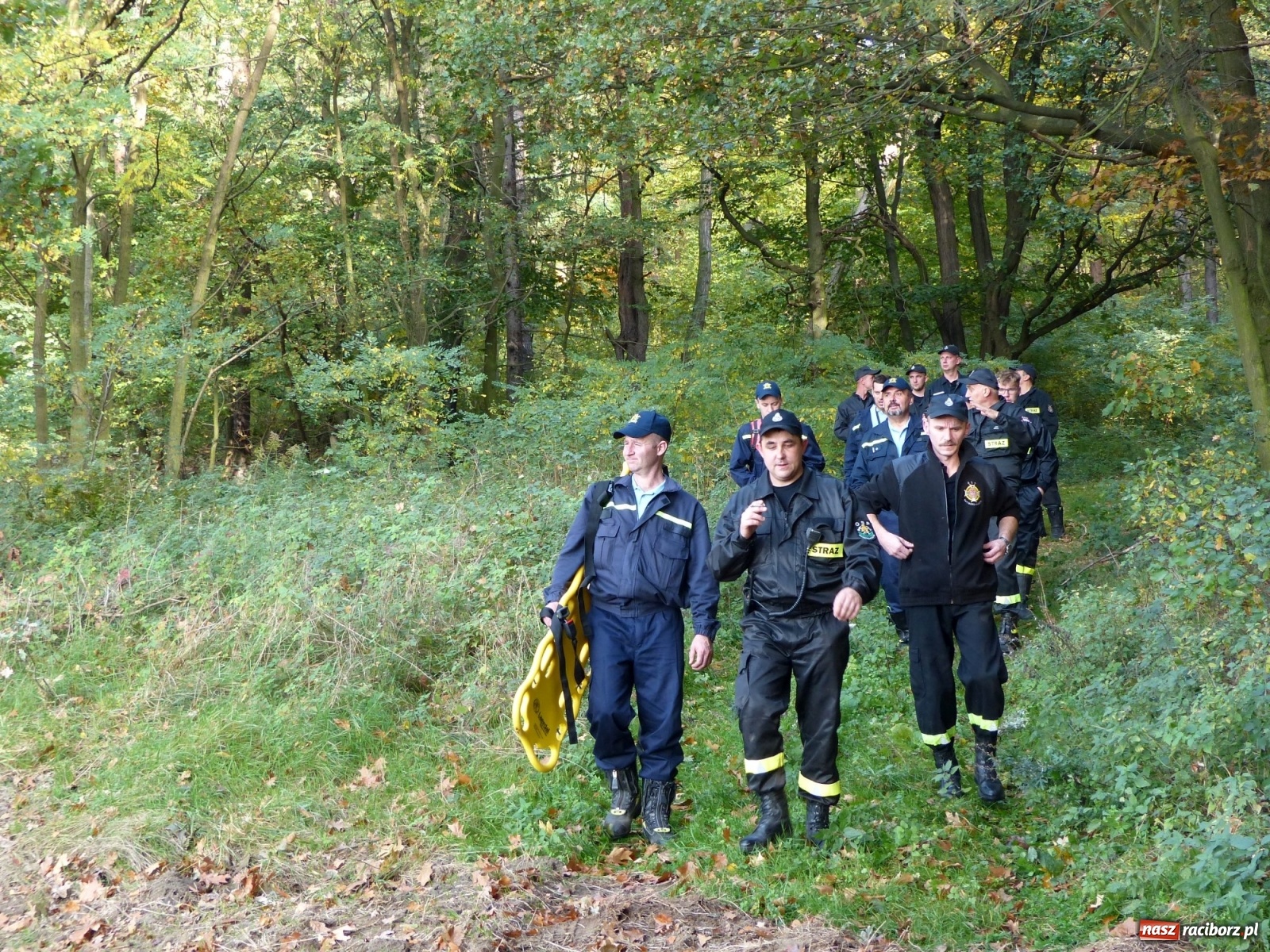 Zdjęcie w galerii na portalu naszraciborz.pl: Ponad dwudziestu strażaków poszukiwało dziś dwóch rannych grzybiarzy  wiadomości z regionu