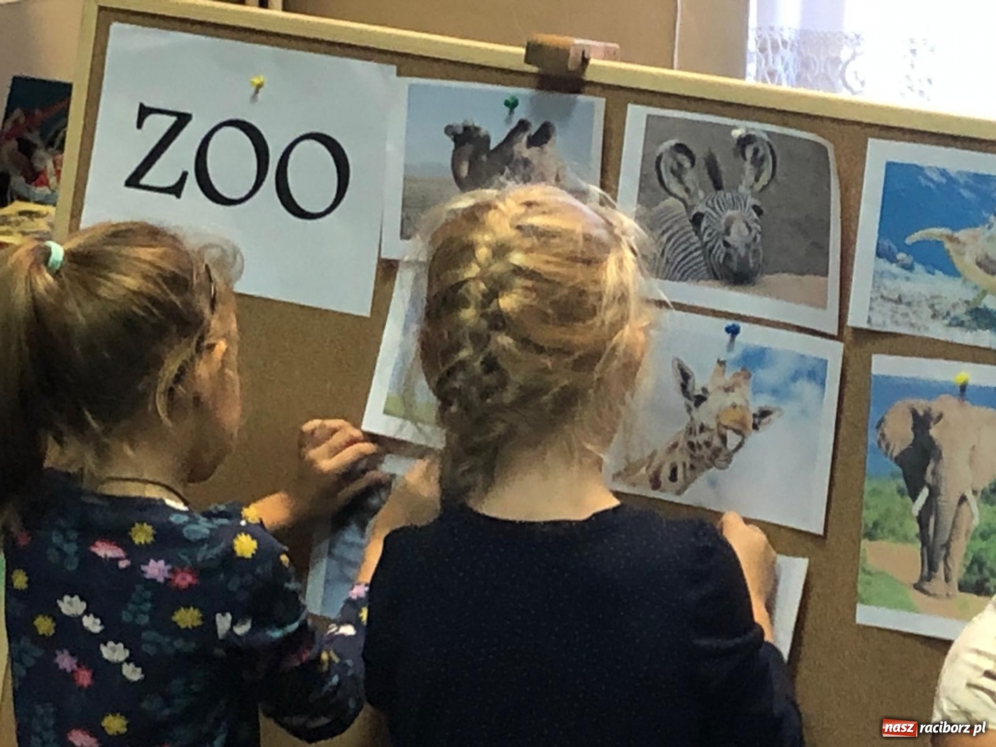 Zdjęcie w galerii na portalu naszraciborz.pl: Biedroneczki i Misie gościły w rudzkiej bibliotece wiadomości z regionu