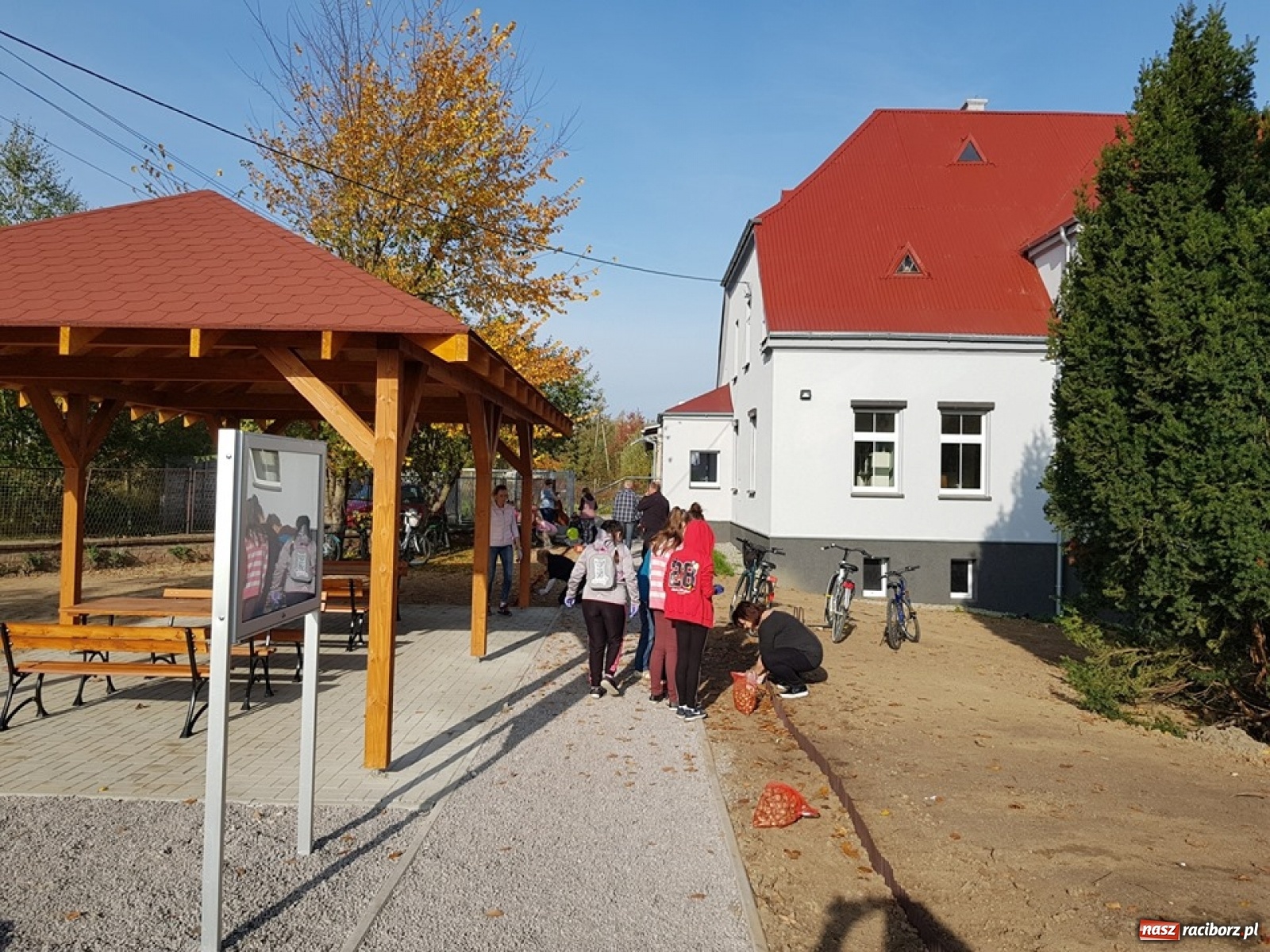 Zdjęcie w galerii na portalu naszraciborz.pl: Wokół krzanowickiej Izby Regionalnej zakwitną żonkile wiadomości z regionu