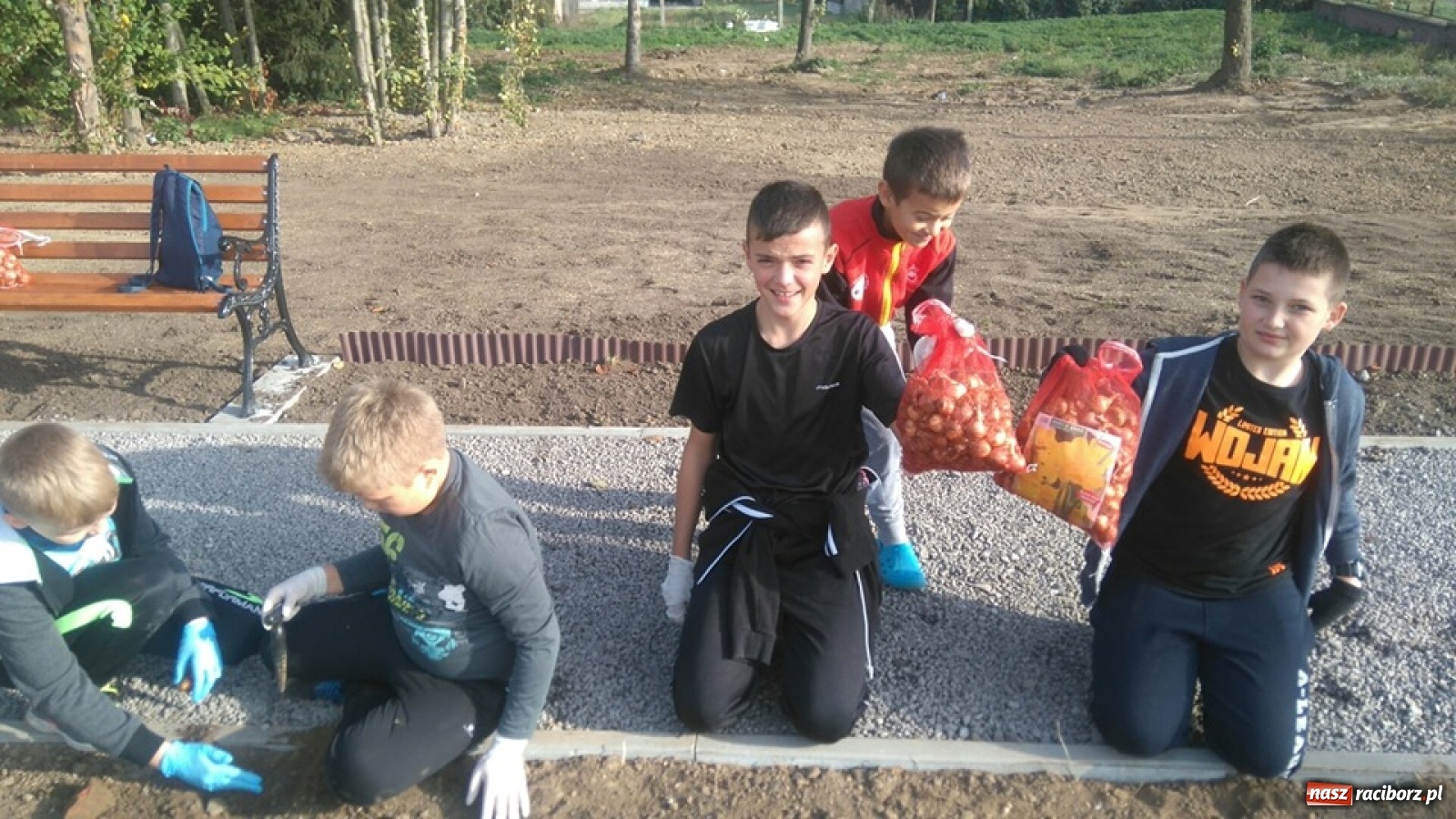 Zdjęcie w galerii na portalu naszraciborz.pl: Wokół krzanowickiej Izby Regionalnej zakwitną żonkile wiadomości z regionu