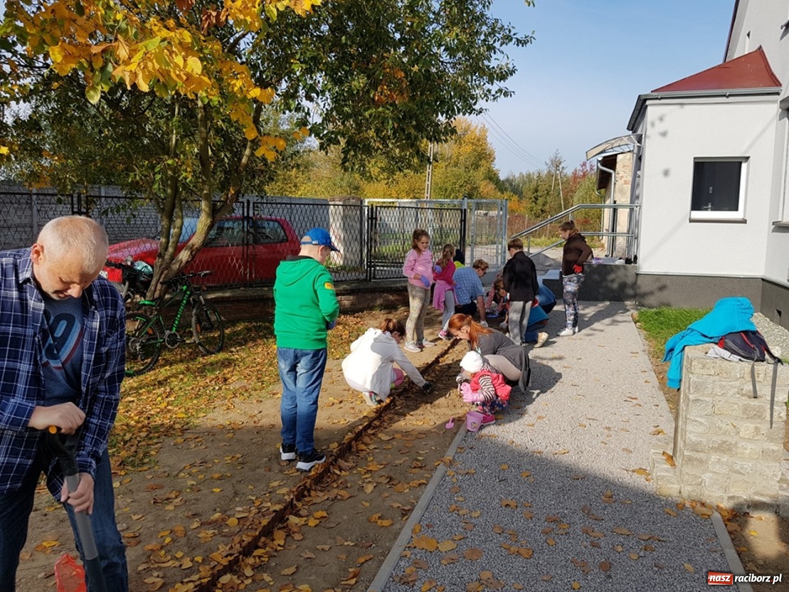 Zdjęcie w galerii na portalu naszraciborz.pl: Wokół krzanowickiej Izby Regionalnej zakwitną żonkile wiadomości z regionu