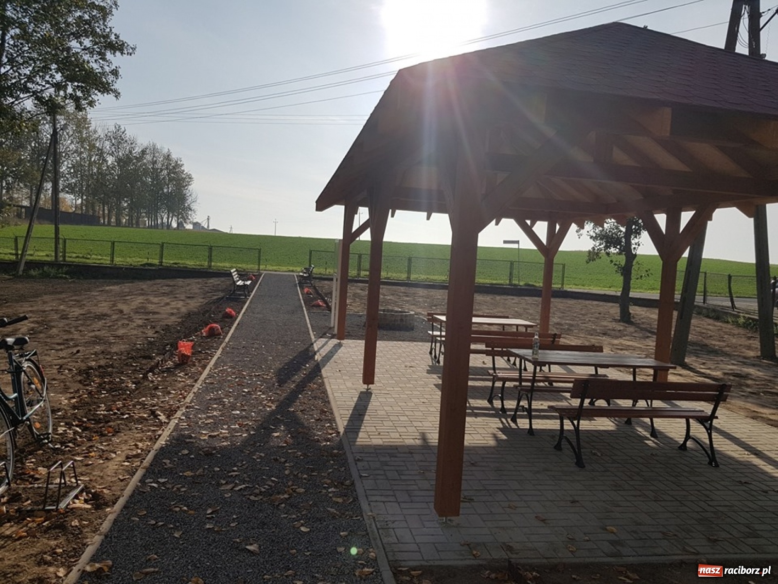 Zdjęcie w galerii na portalu naszraciborz.pl: Wokół krzanowickiej Izby Regionalnej zakwitną żonkile wiadomości z regionu