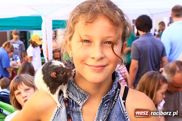 Zdjęcie w galerii na portalu naszraciborz.pl: Chomiki zdominowały wyścigi wiadomości z regionu