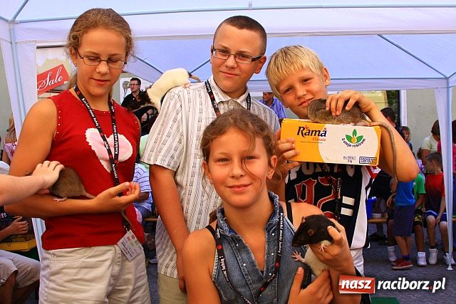 Zdjęcie w galerii na portalu naszraciborz.pl: Chomiki zdominowały wyścigi wiadomości z regionu