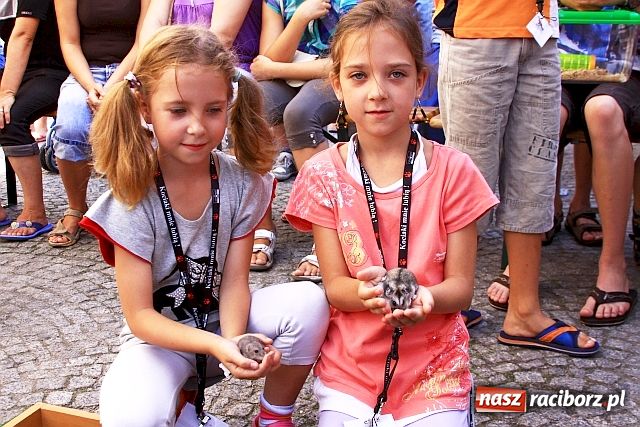 Zdjęcie w galerii na portalu naszraciborz.pl: Chomiki zdominowały wyścigi wiadomości z regionu