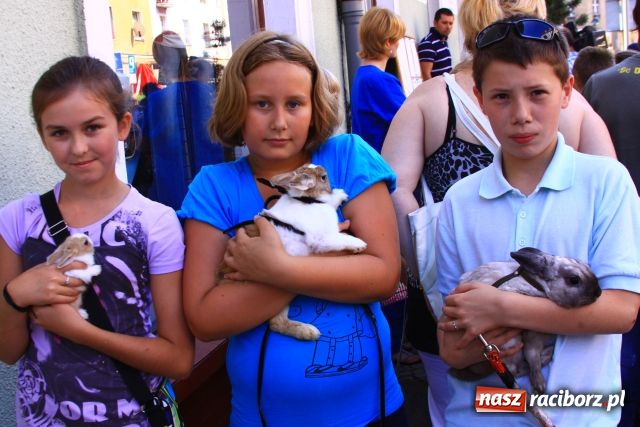 Zdjęcie w galerii na portalu naszraciborz.pl: Chomiki zdominowały wyścigi wiadomości z regionu