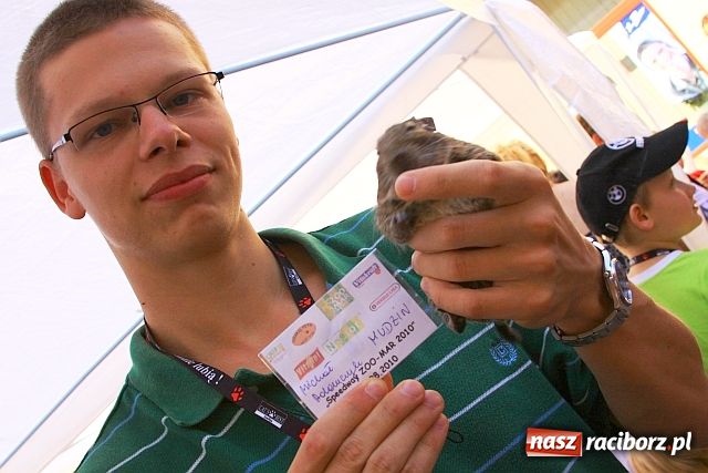 Zdjęcie w galerii na portalu naszraciborz.pl: Chomiki zdominowały wyścigi wiadomości z regionu