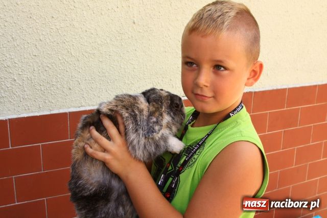 Zdjęcie w galerii na portalu naszraciborz.pl: Chomiki zdominowały wyścigi wiadomości z regionu