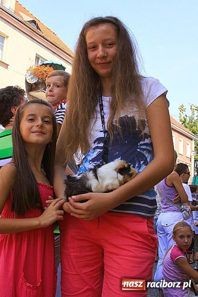 Zdjęcie w galerii na portalu naszraciborz.pl: Chomiki zdominowały wyścigi wiadomości z regionu