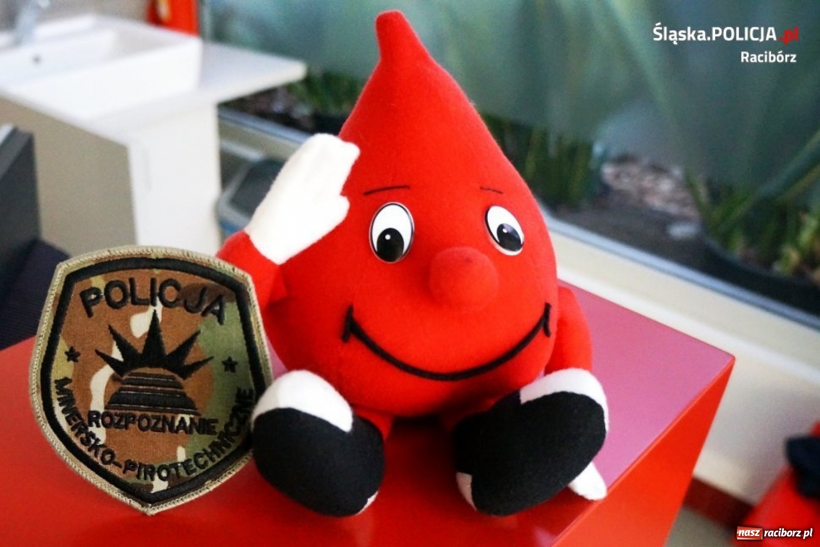 Zdjęcie w galerii na portalu naszraciborz.pl: Policjanci z Raciborza dzielili się własną krwią  wiadomości z regionu