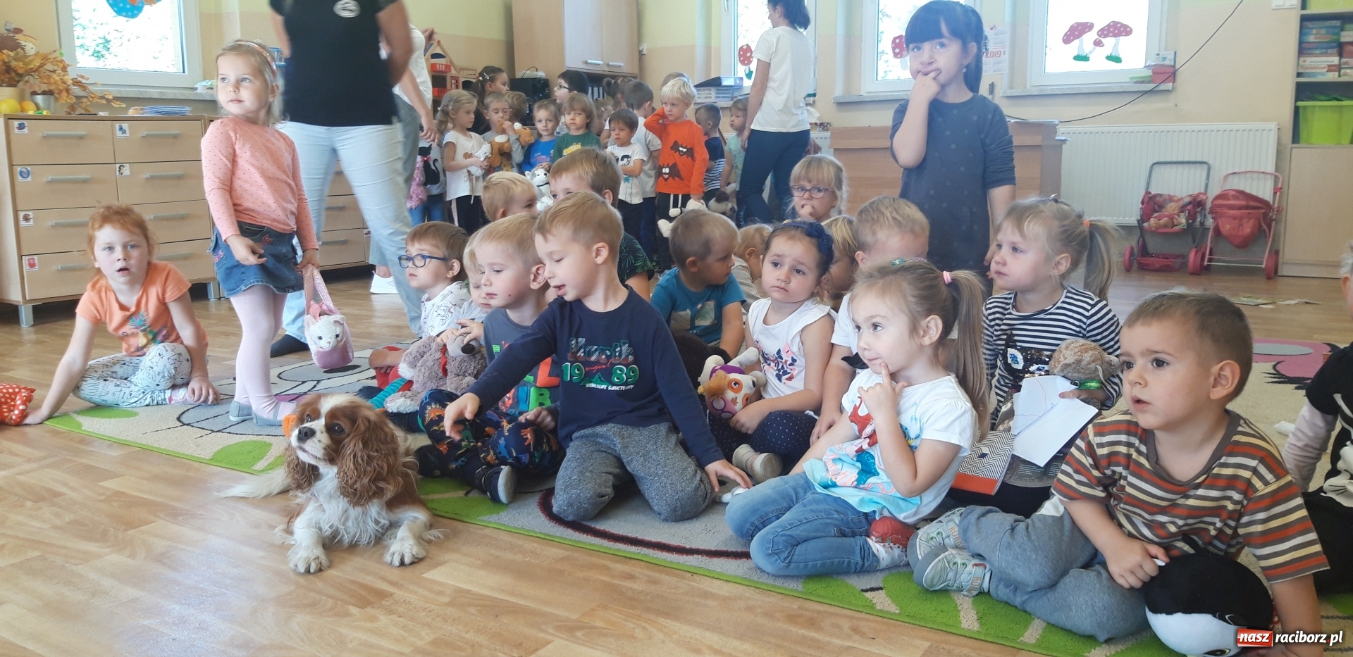 Zdjęcie w galerii na portalu naszraciborz.pl: Święto kundelka w rudzkim przedszkolu wiadomości z regionu