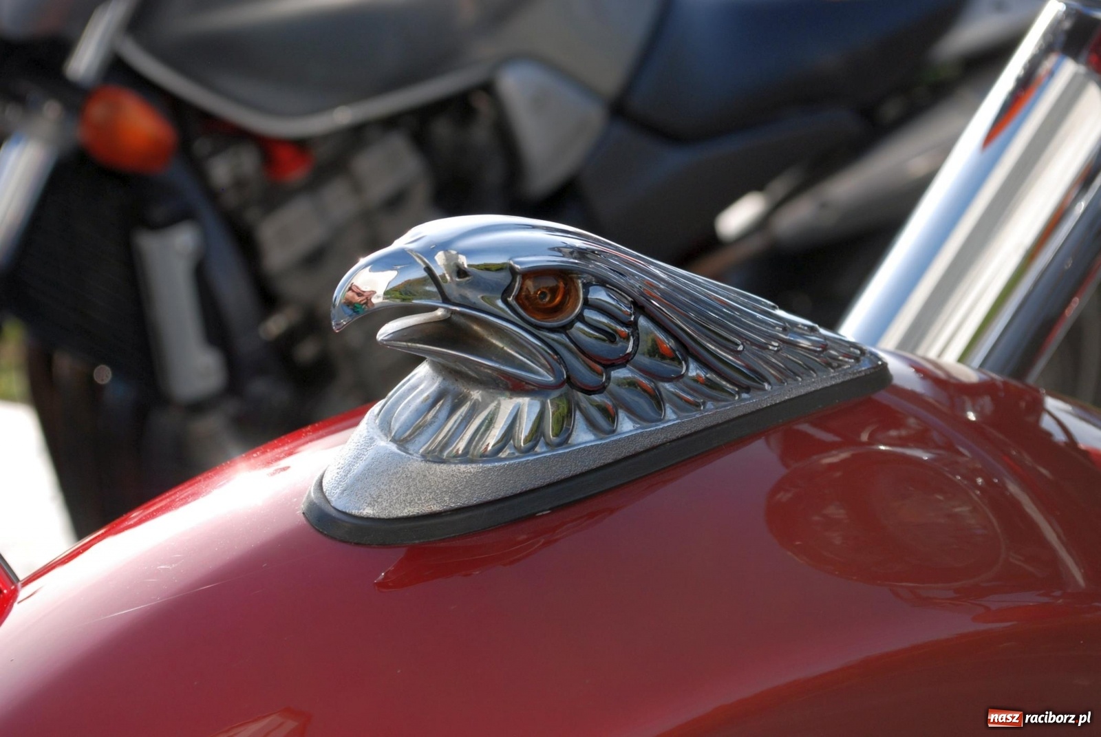 Zdjęcie w galerii na portalu naszraciborz.pl: Family Ghost zakończyli sezon motocyklowy wiadomości z regionu