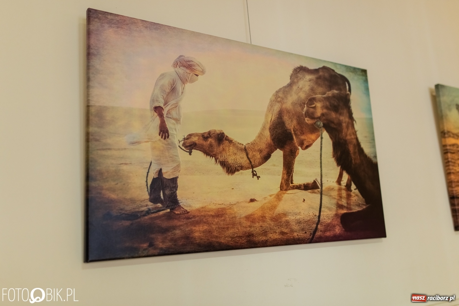 Zdjęcie w galerii na portalu naszraciborz.pl: Blok szkolny podczas festiwalu Wiatraki wiadomości z regionu