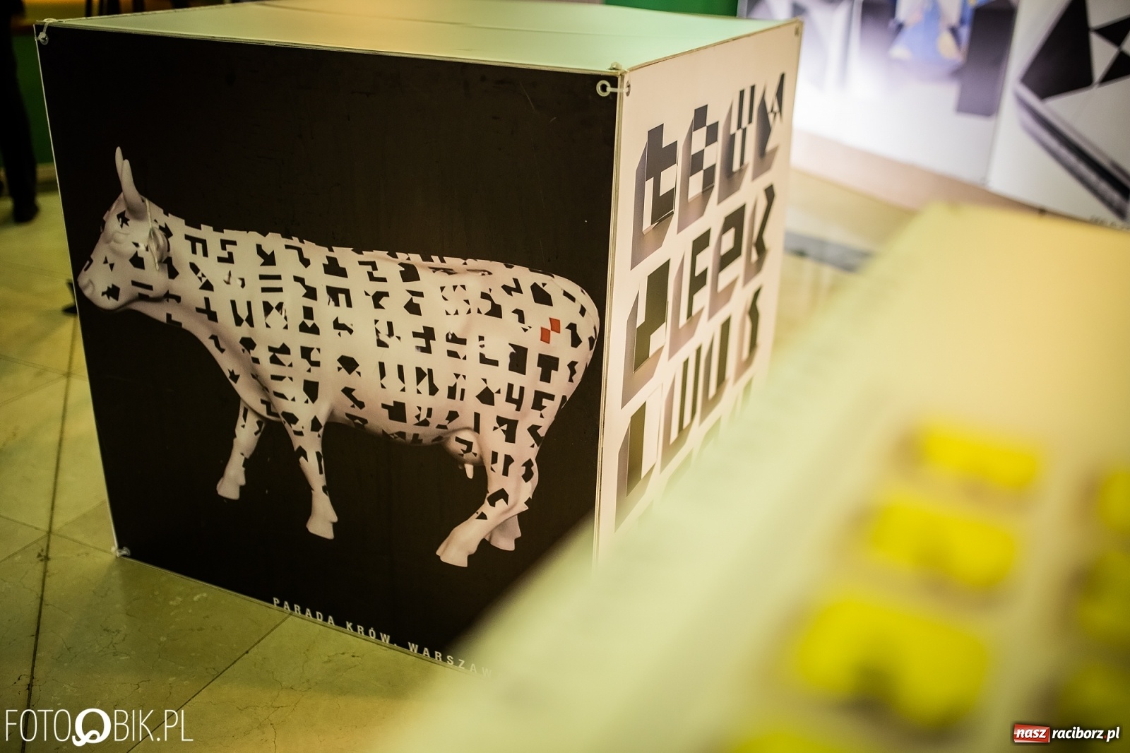 Zdjęcie w galerii na portalu naszraciborz.pl: K-DRON. Prace Janusza Kapusty można oglądać w pałacyku Rafako  wiadomości z regionu