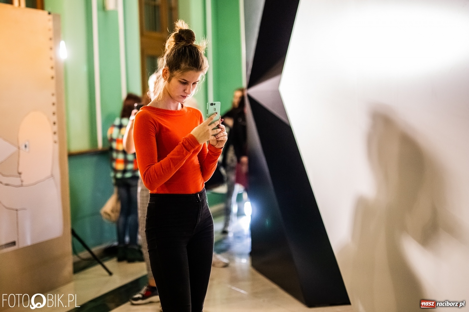 Zdjęcie w galerii na portalu naszraciborz.pl: K-DRON. Prace Janusza Kapusty można oglądać w pałacyku Rafako  wiadomości z regionu