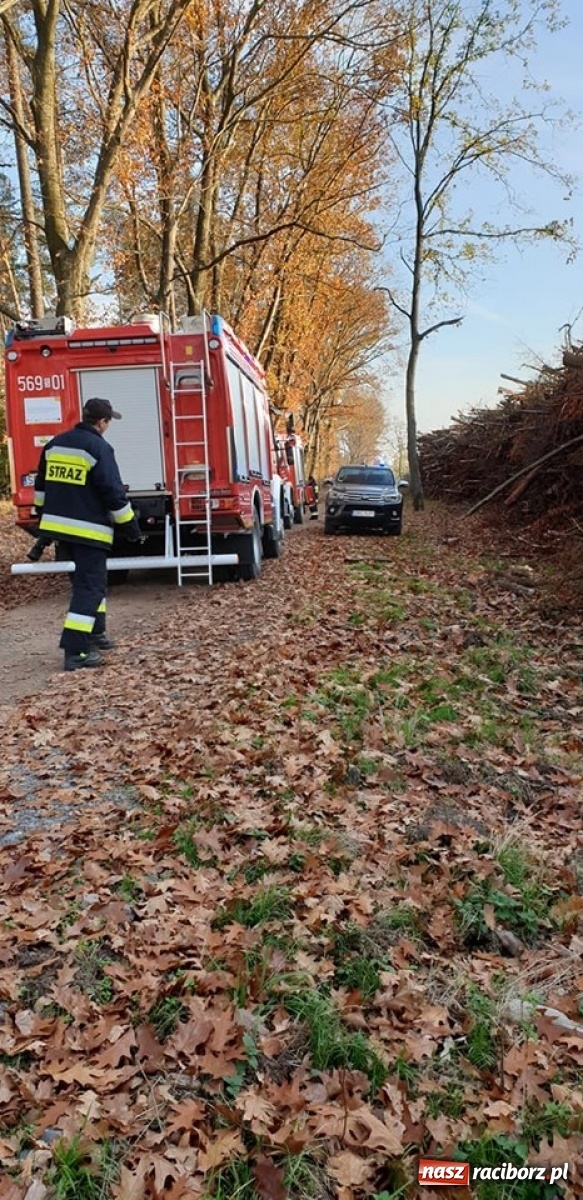 Zdjęcie w galerii na portalu naszraciborz.pl: Tragiczny finał poszukiwań w lesie koło Kuźni Raciborskiej wiadomości z regionu