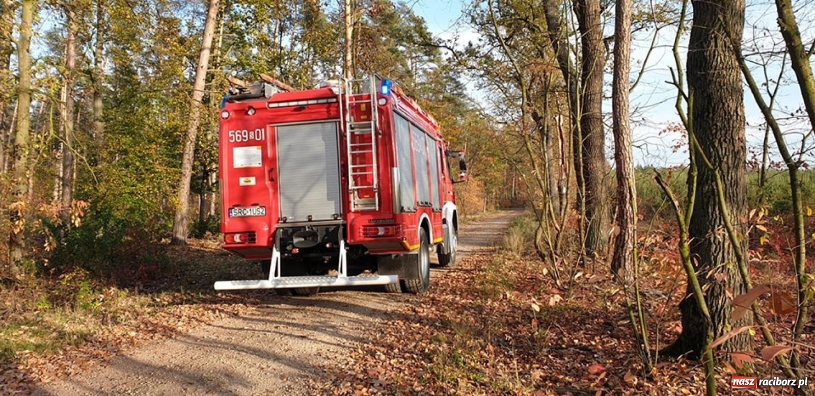 Zdjęcie w galerii na portalu naszraciborz.pl: Tragiczny finał poszukiwań w lesie koło Kuźni Raciborskiej wiadomości z regionu