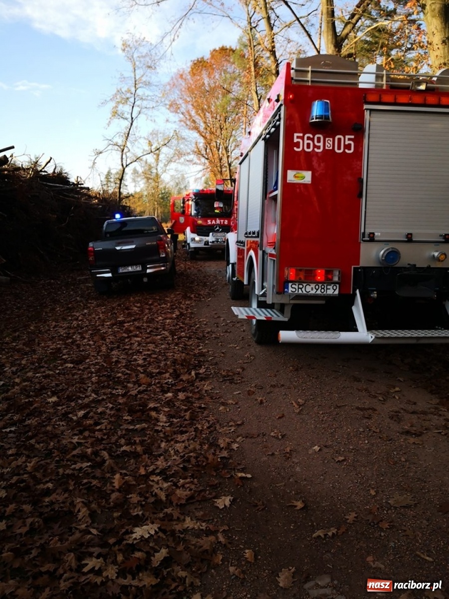 Zdjęcie w galerii na portalu naszraciborz.pl: Tragiczny finał poszukiwań w lesie koło Kuźni Raciborskiej wiadomości z regionu
