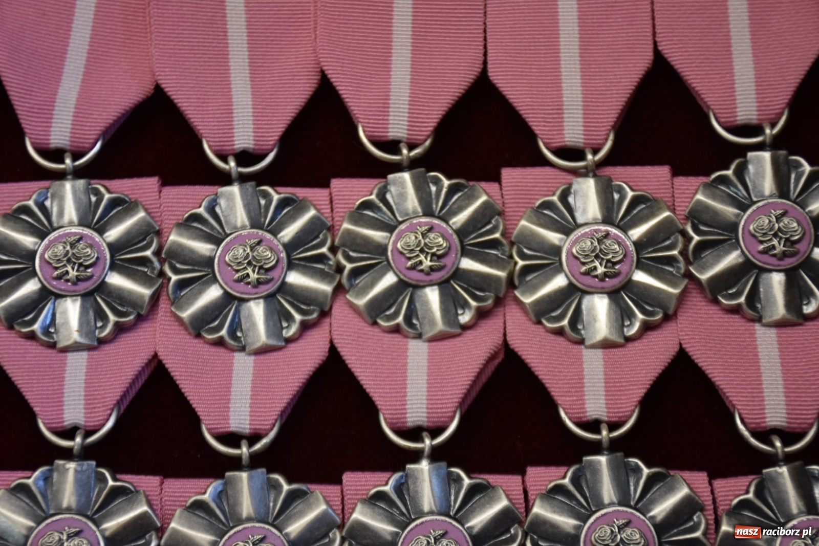 Zdjęcie w galerii na portalu naszraciborz.pl: Złote gody w gminie Krzyżanowice [FOTO] wiadomości z regionu