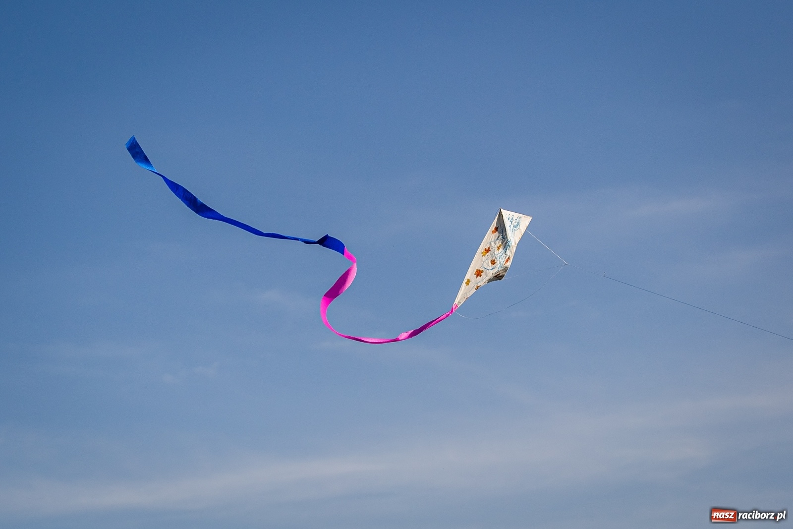 Zdjęcie w galerii na portalu naszraciborz.pl: Zawody latawcowe przy Adamczyka wiadomości z regionu