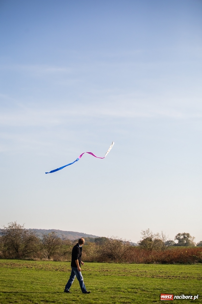 Zdjęcie w galerii na portalu naszraciborz.pl: Zawody latawcowe przy Adamczyka wiadomości z regionu