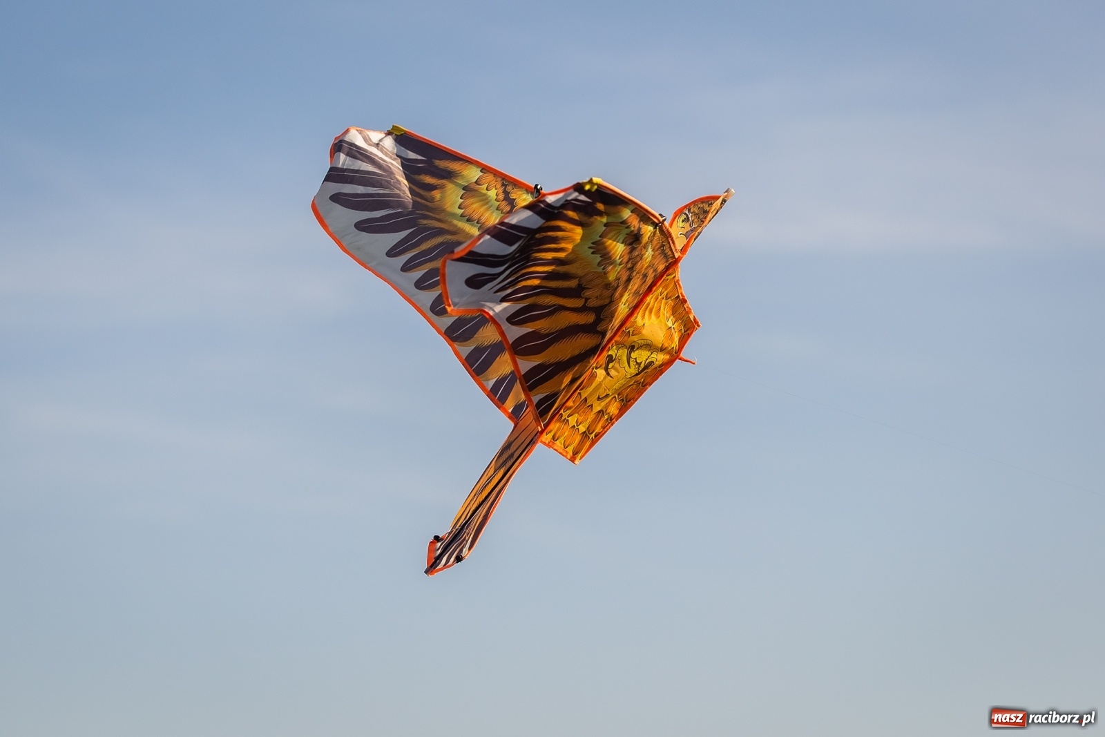 Zdjęcie w galerii na portalu naszraciborz.pl: Zawody latawcowe przy Adamczyka wiadomości z regionu