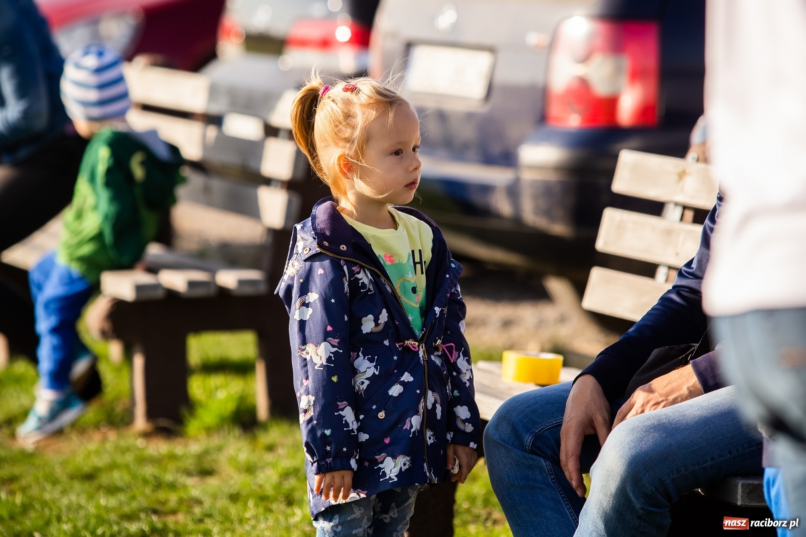 Zdjęcie w galerii na portalu naszraciborz.pl: Zawody latawcowe przy Adamczyka wiadomości z regionu