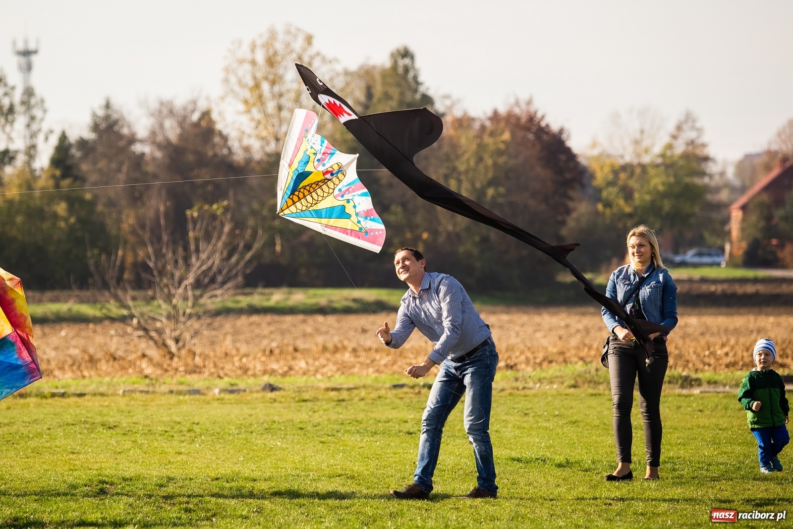 Zdjęcie w galerii na portalu naszraciborz.pl: Zawody latawcowe przy Adamczyka wiadomości z regionu