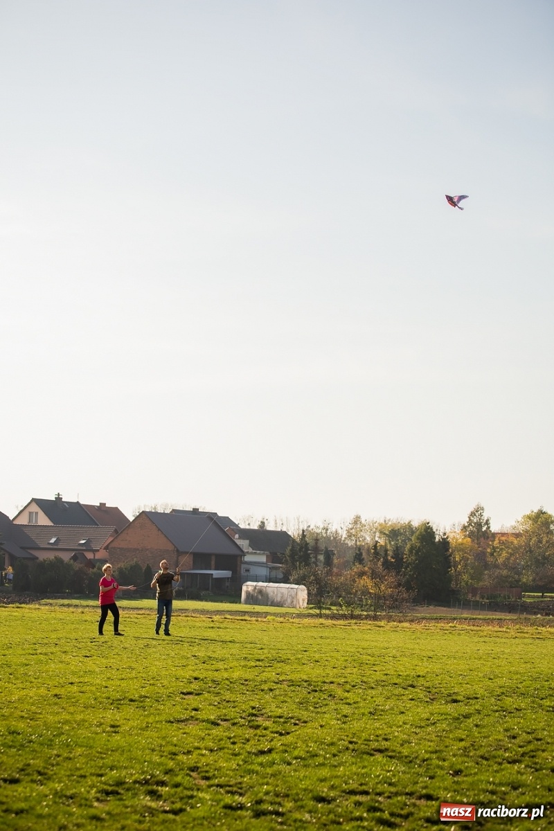 Zdjęcie w galerii na portalu naszraciborz.pl: Zawody latawcowe przy Adamczyka wiadomości z regionu