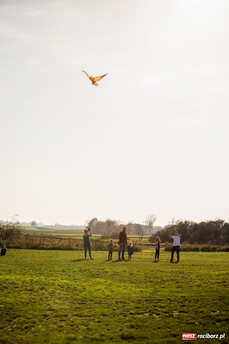 Zdjęcie w galerii na portalu naszraciborz.pl: Zawody latawcowe przy Adamczyka wiadomości z regionu