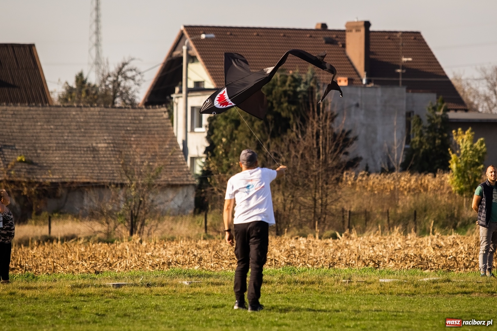 Zdjęcie w galerii na portalu naszraciborz.pl: Zawody latawcowe przy Adamczyka wiadomości z regionu