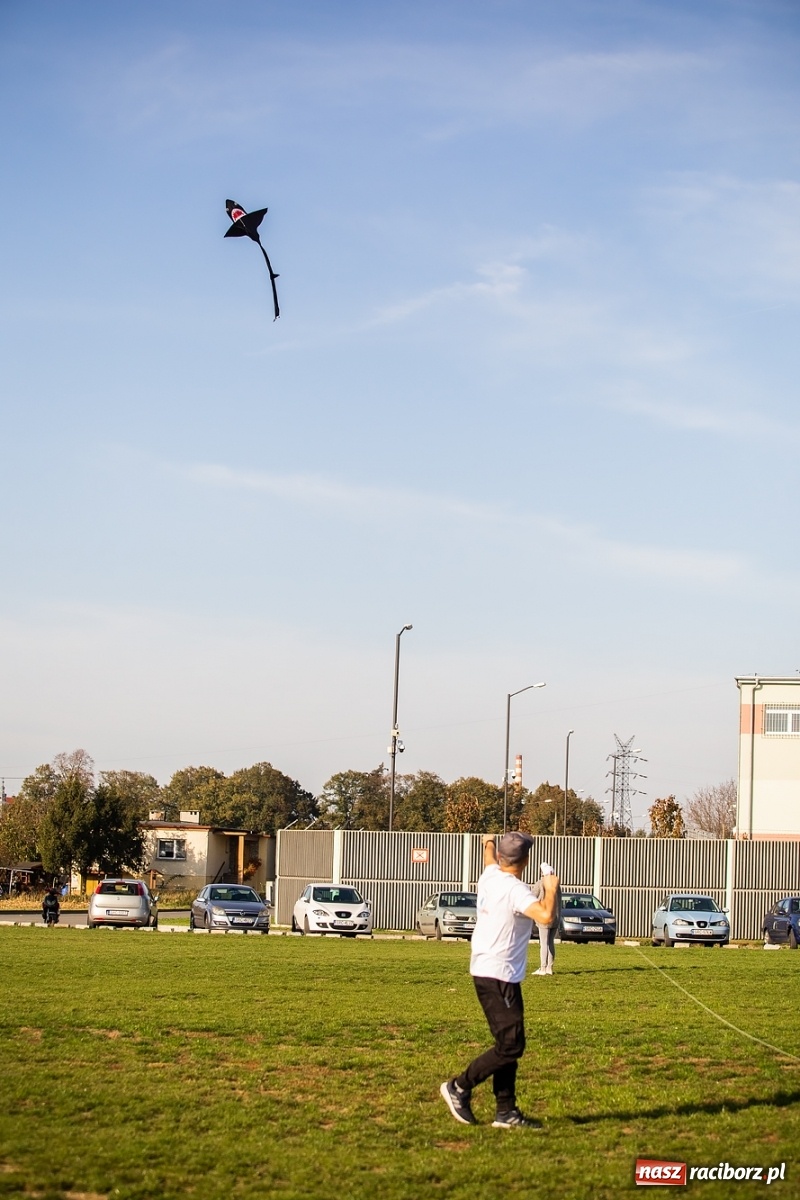 Zdjęcie w galerii na portalu naszraciborz.pl: Zawody latawcowe przy Adamczyka wiadomości z regionu