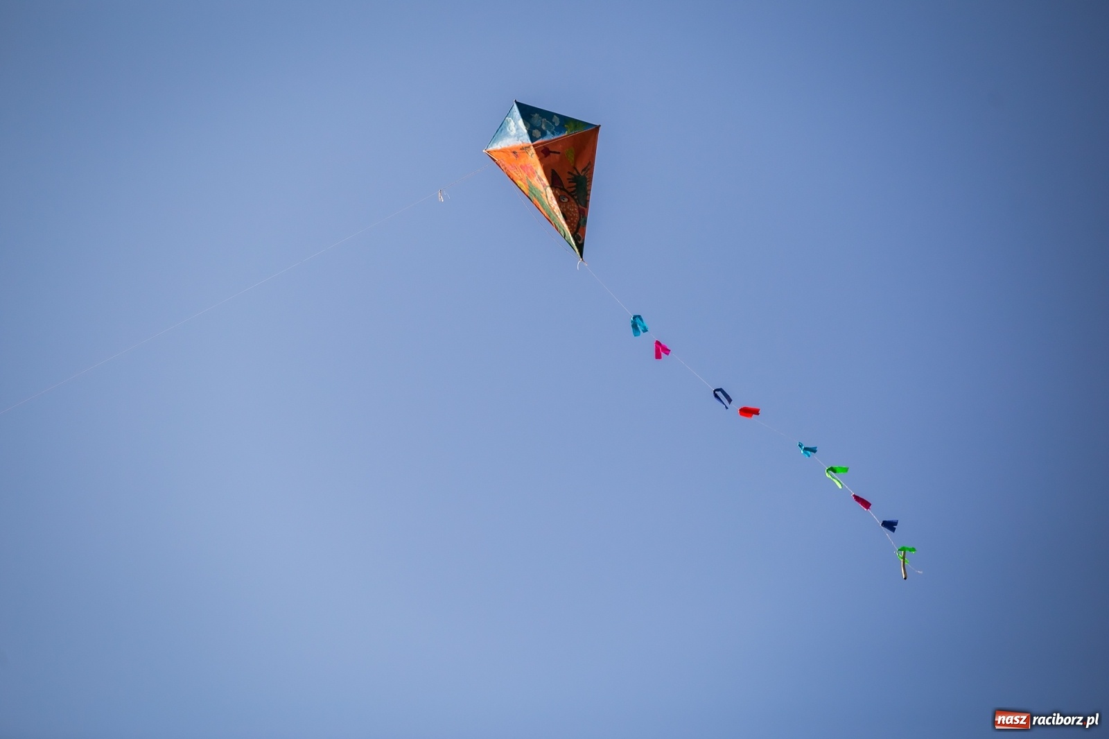 Zdjęcie w galerii na portalu naszraciborz.pl: Zawody latawcowe przy Adamczyka wiadomości z regionu