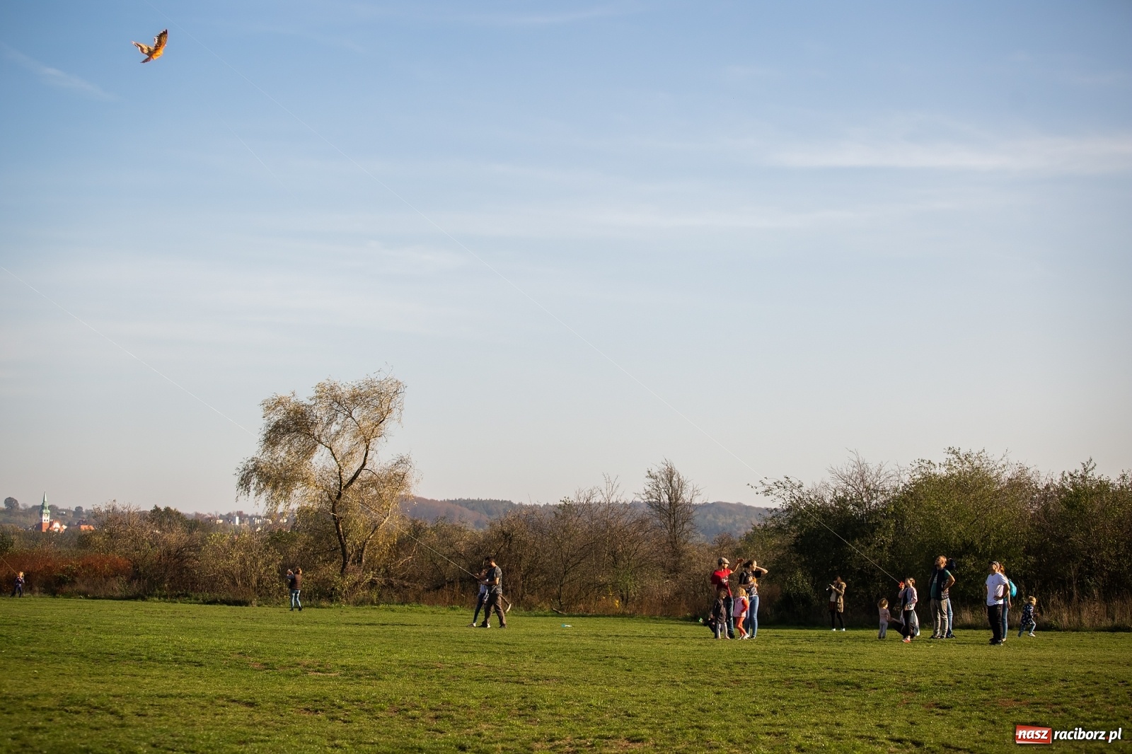 Zdjęcie w galerii na portalu naszraciborz.pl: Zawody latawcowe przy Adamczyka wiadomości z regionu