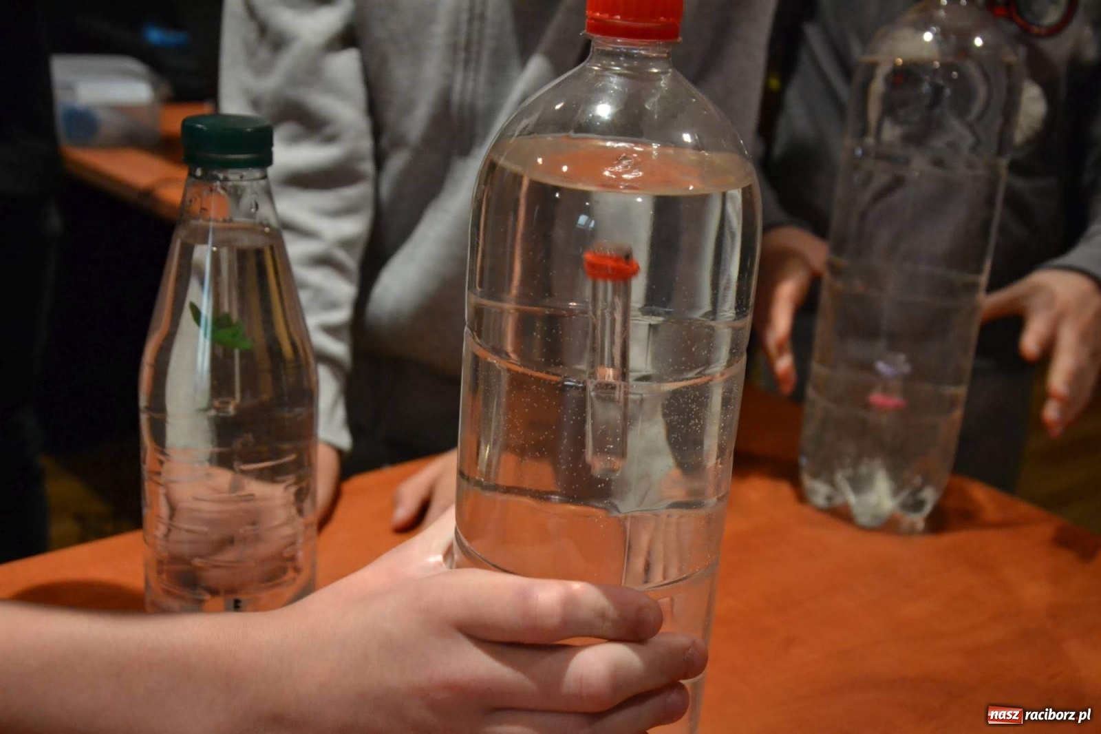 Zdjęcie w galerii na portalu naszraciborz.pl: Na zamku odbył się Festiwal Nauki 2019  wiadomości z regionu