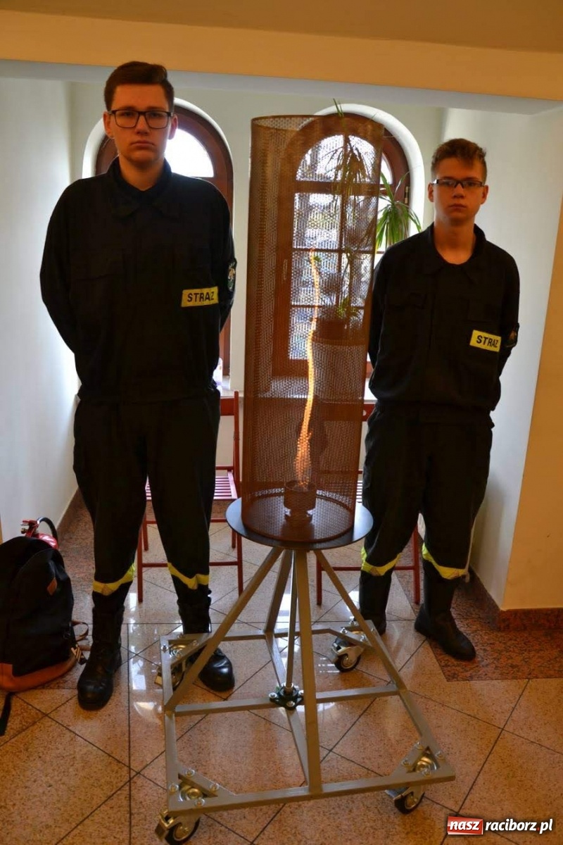 Zdjęcie w galerii na portalu naszraciborz.pl: Na zamku odbył się Festiwal Nauki 2019  wiadomości z regionu