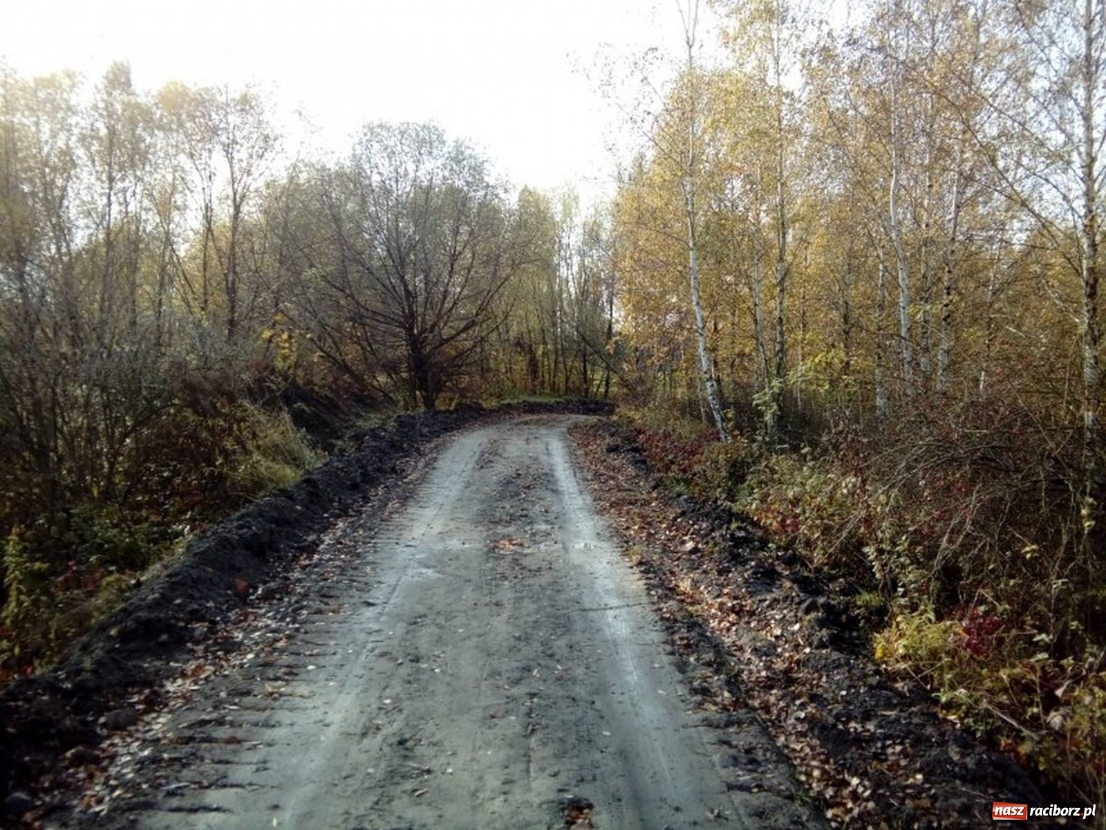 Zdjęcie w galerii na portalu naszraciborz.pl: Budowa wschodniej obwodnicy Raciborza. Jak bezpiecznie dojechać na żwirownie  wiadomości z regionu
