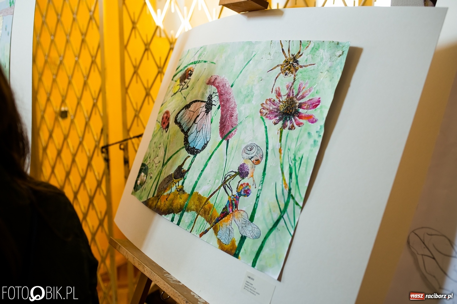 Zdjęcie w galerii na portalu naszraciborz.pl: Koncert laureatów Powiatowego Festiwalu Twórczości Artystycznej wiadomości z regionu