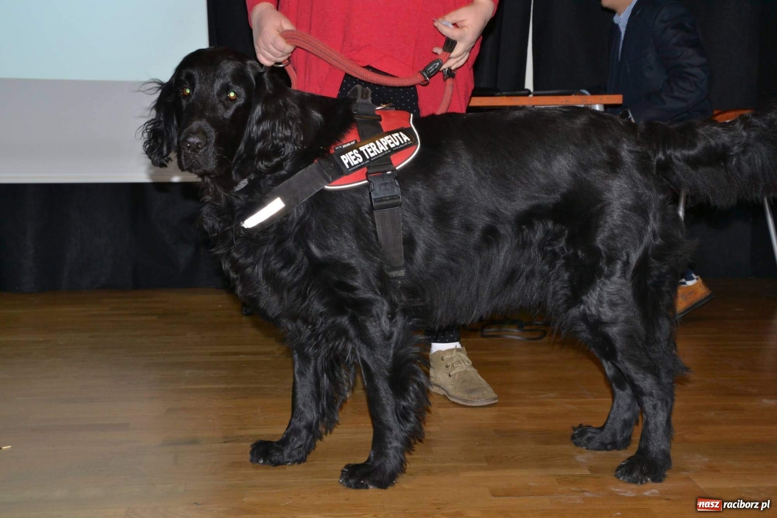 Zdjęcie w galerii na portalu naszraciborz.pl: Szkoła specjalna z Raciborza świętuje 70. urodziny wiadomości z regionu