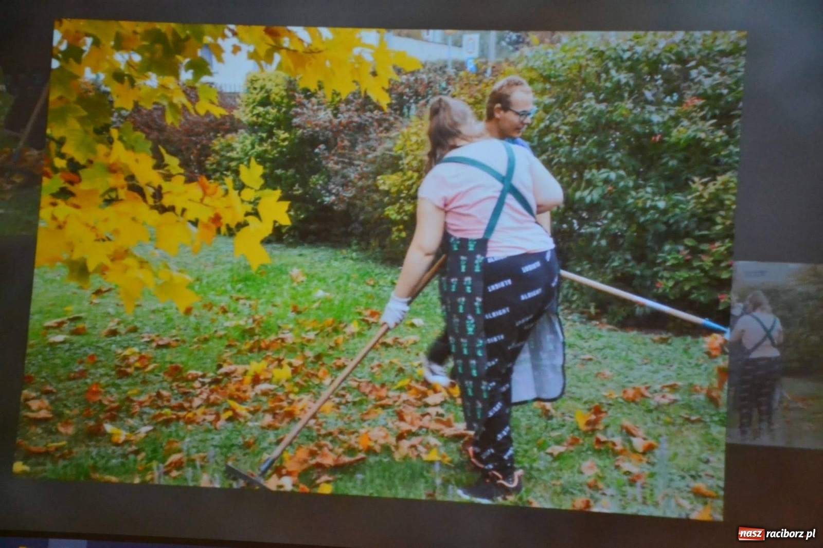 Zdjęcie w galerii na portalu naszraciborz.pl: Szkoła specjalna z Raciborza świętuje 70. urodziny wiadomości z regionu