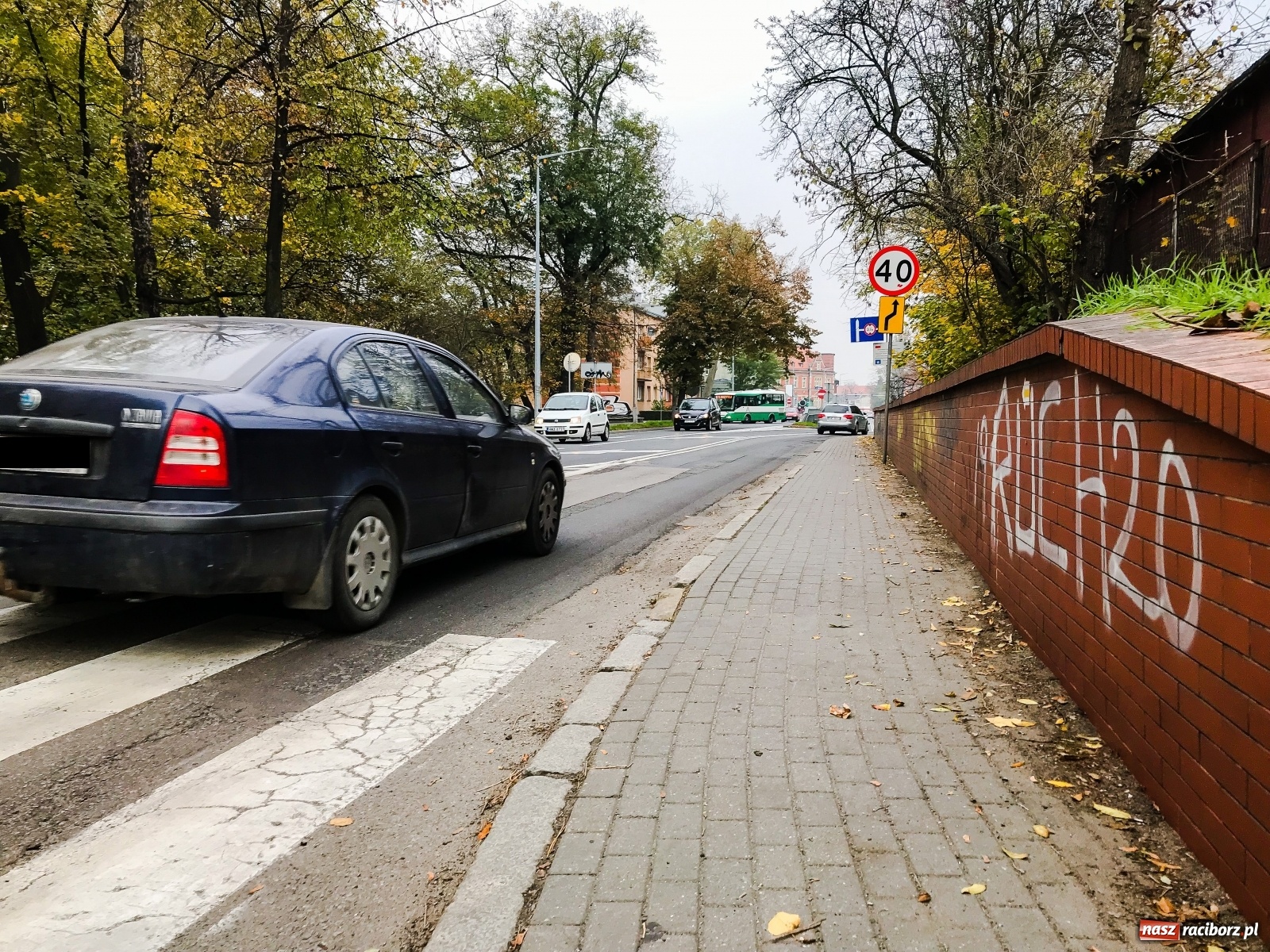 Zdjęcie w galerii na portalu naszraciborz.pl: SKAZowicze znów na podium!  wiadomości z regionu