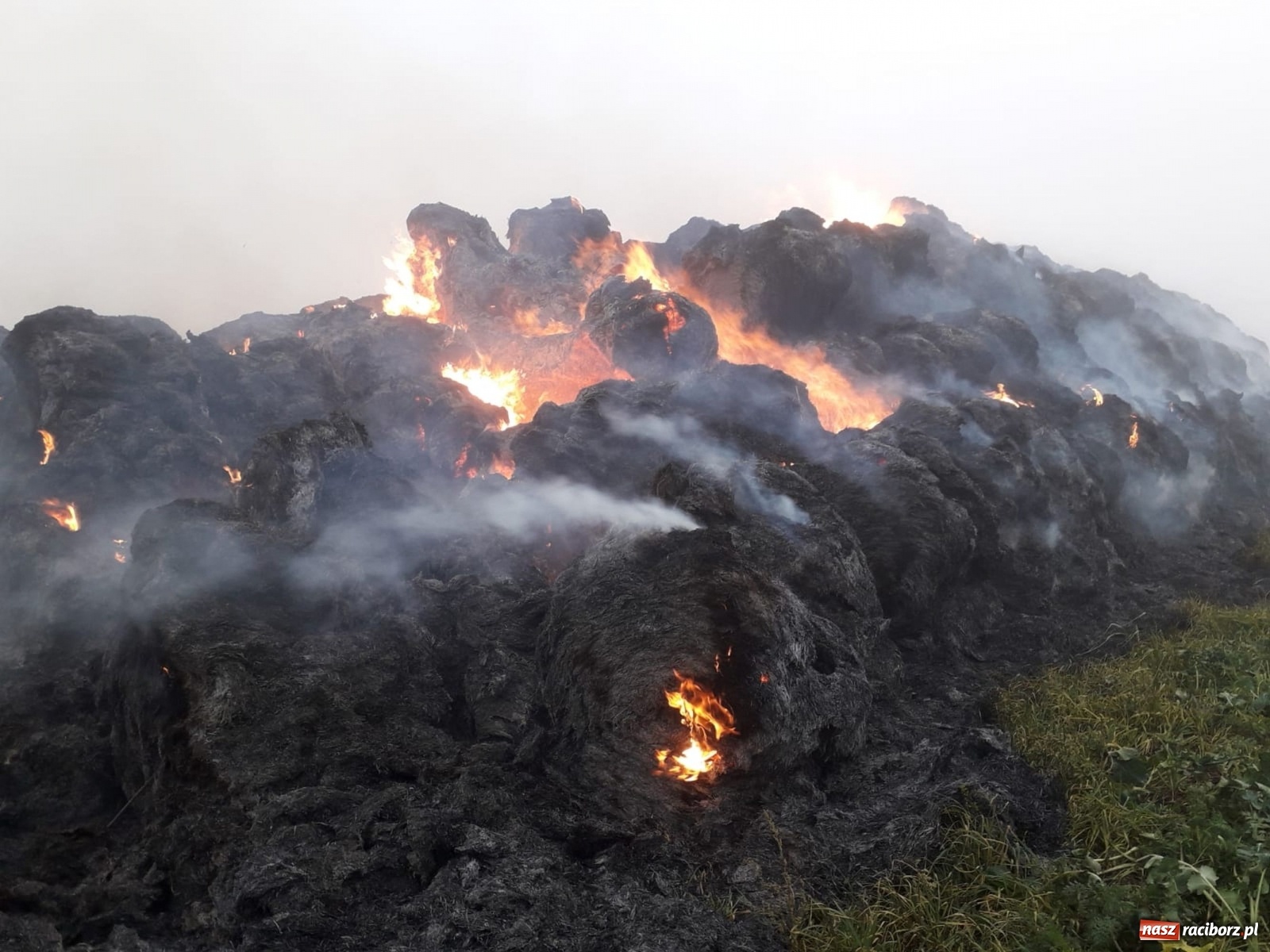 Zdjęcie w galerii na portalu naszraciborz.pl: Raport 998. 50 tys. złotych strat po pożarze w Owsiszczach wiadomości z regionu