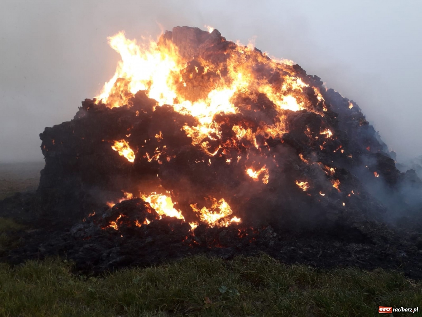Zdjęcie w galerii na portalu naszraciborz.pl: Raport 998. 50 tys. złotych strat po pożarze w Owsiszczach wiadomości z regionu