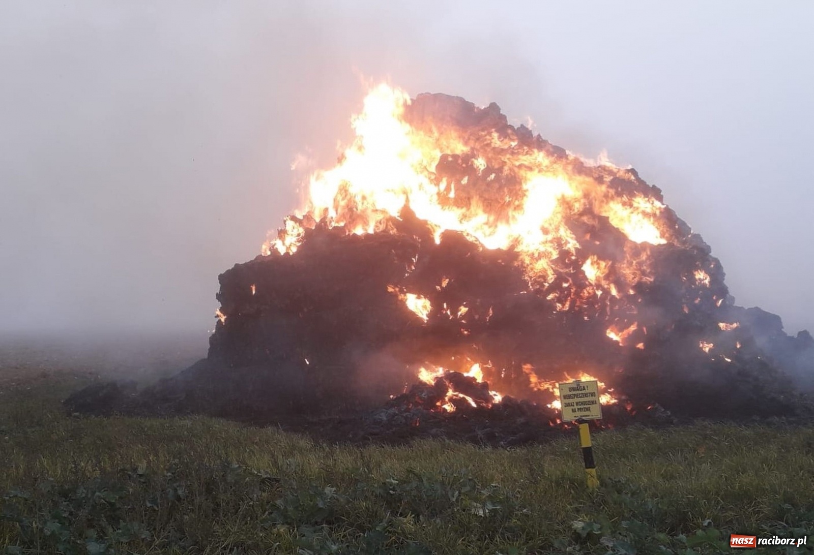 Zdjęcie w galerii na portalu naszraciborz.pl: Raport 998. 50 tys. złotych strat po pożarze w Owsiszczach wiadomości z regionu